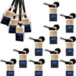 Set of 10 hanging car air freshener cube bottle pendants with wooden cap, refillable essential oil bottles.